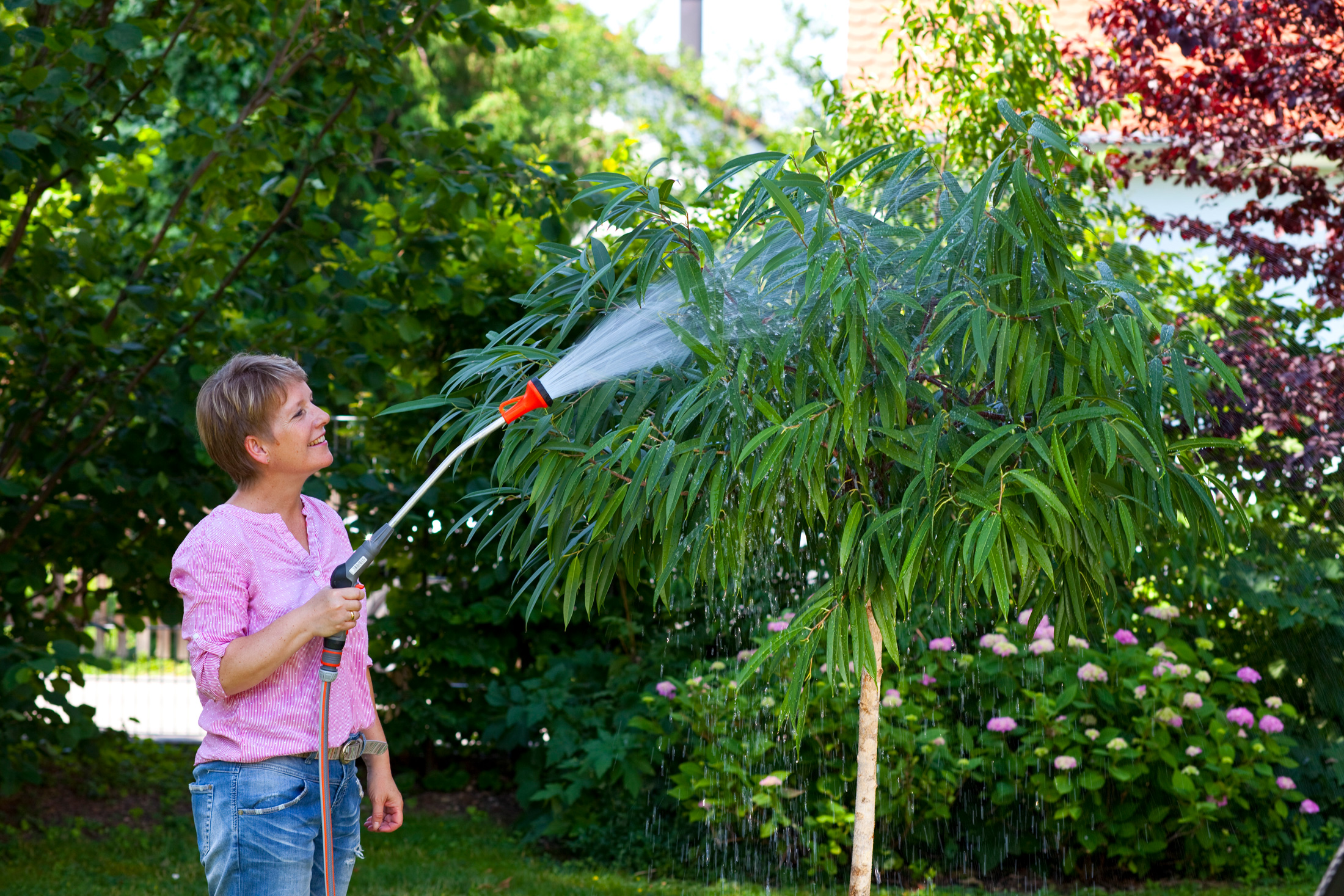 Sommerfrische für Zimmerpflanzen