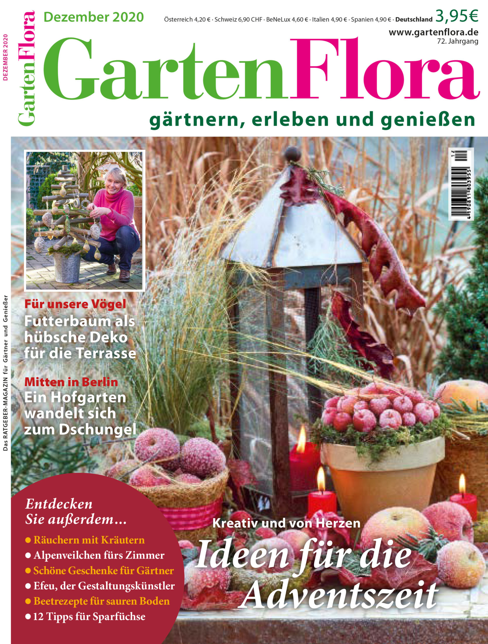 Hübscher Futterbaum für Vögel