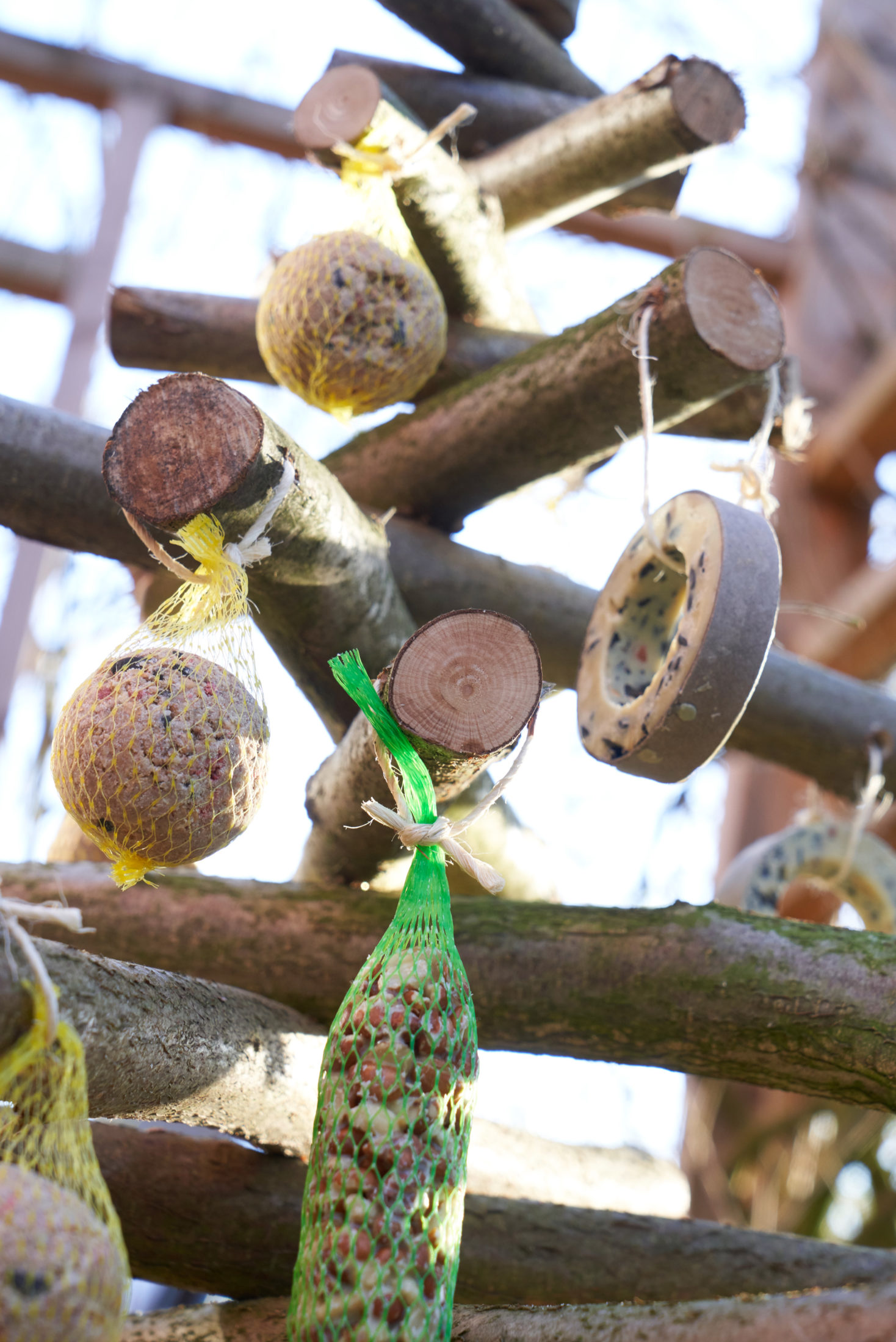 Hübscher Futterbaum für Vögel