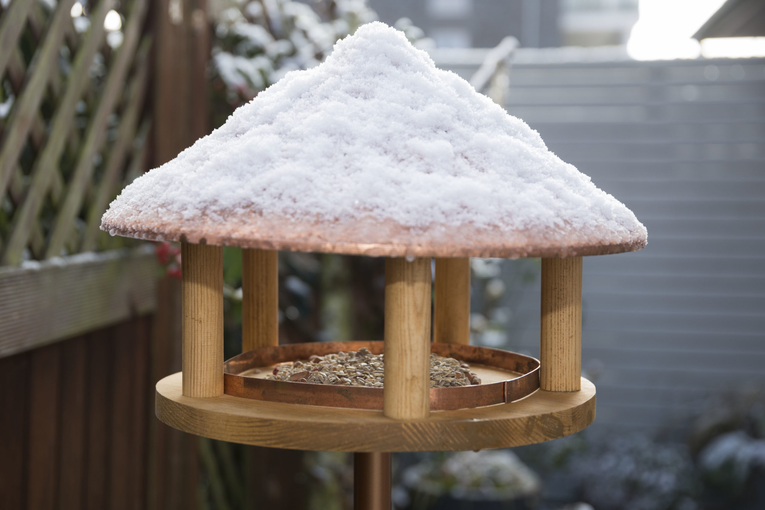 Vogelfutterhaus reinigen: Winterfütterung für gesunde Vögel