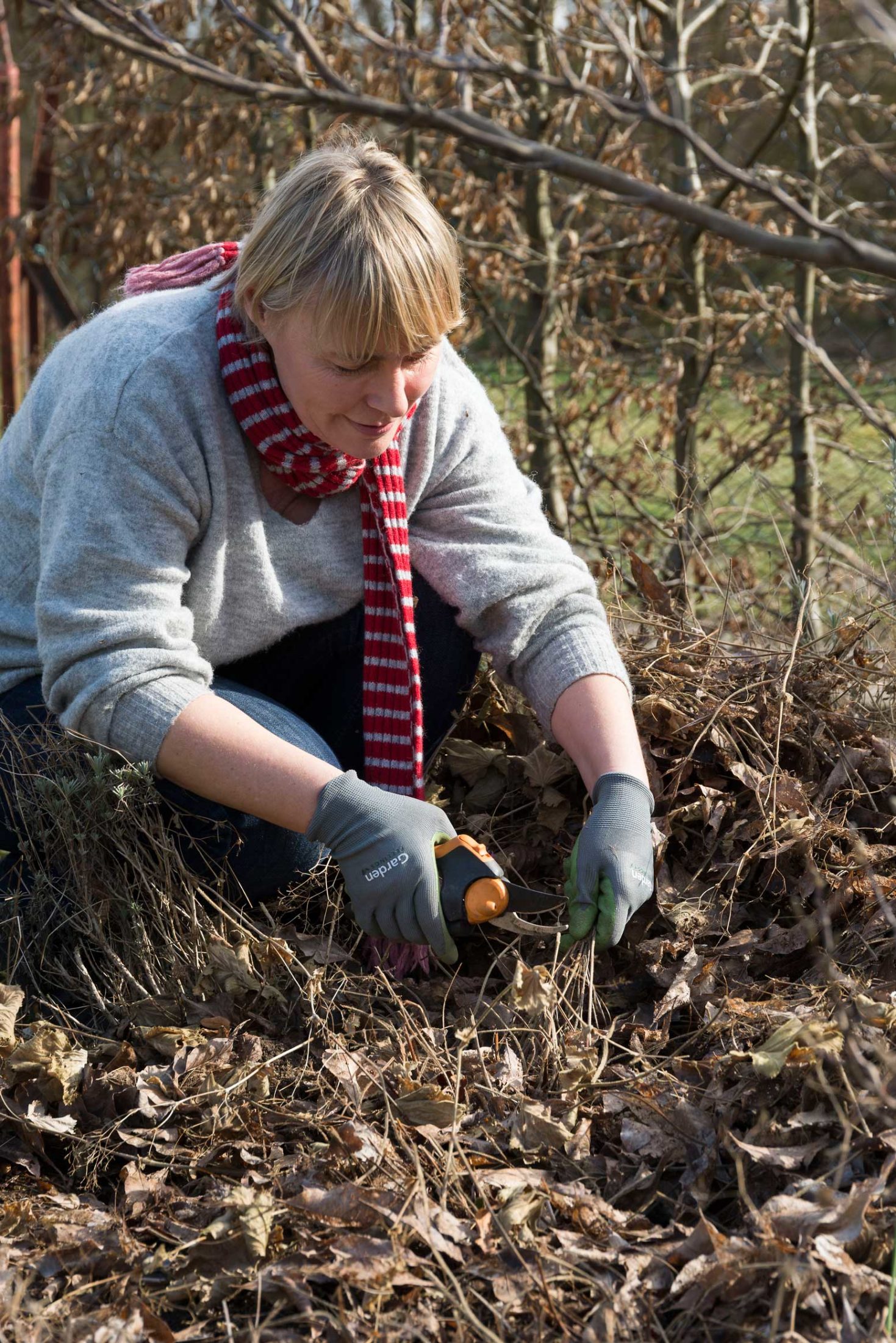 Im Frühjahr die Beete vorbereiten