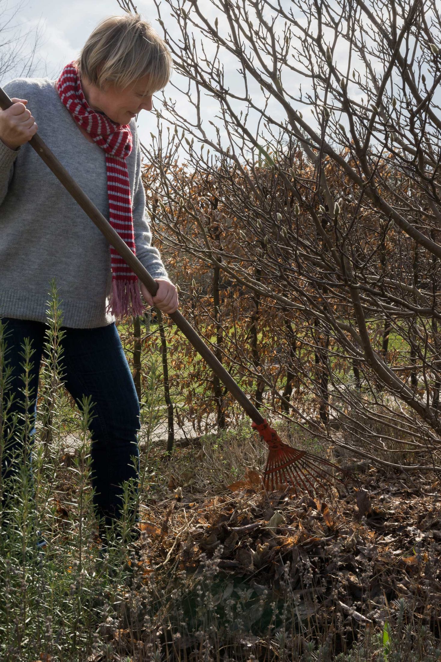 Im Frühling die Blumenbeete vorbereiten