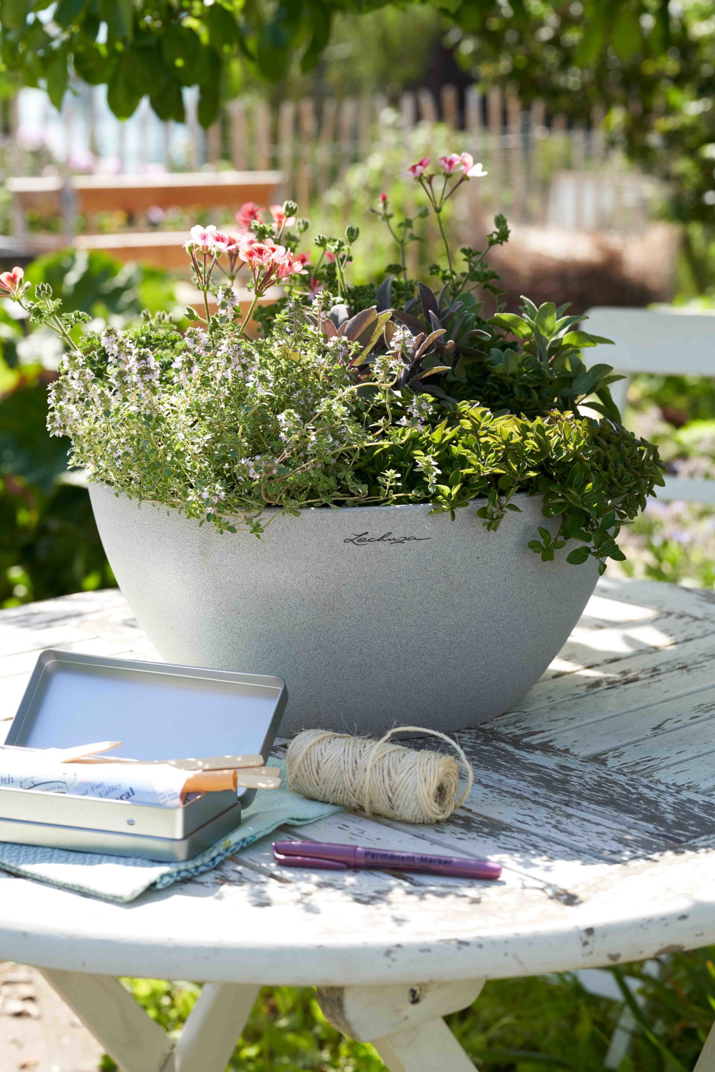 Ideen: Sommerblumen in Töpfen pflanzen