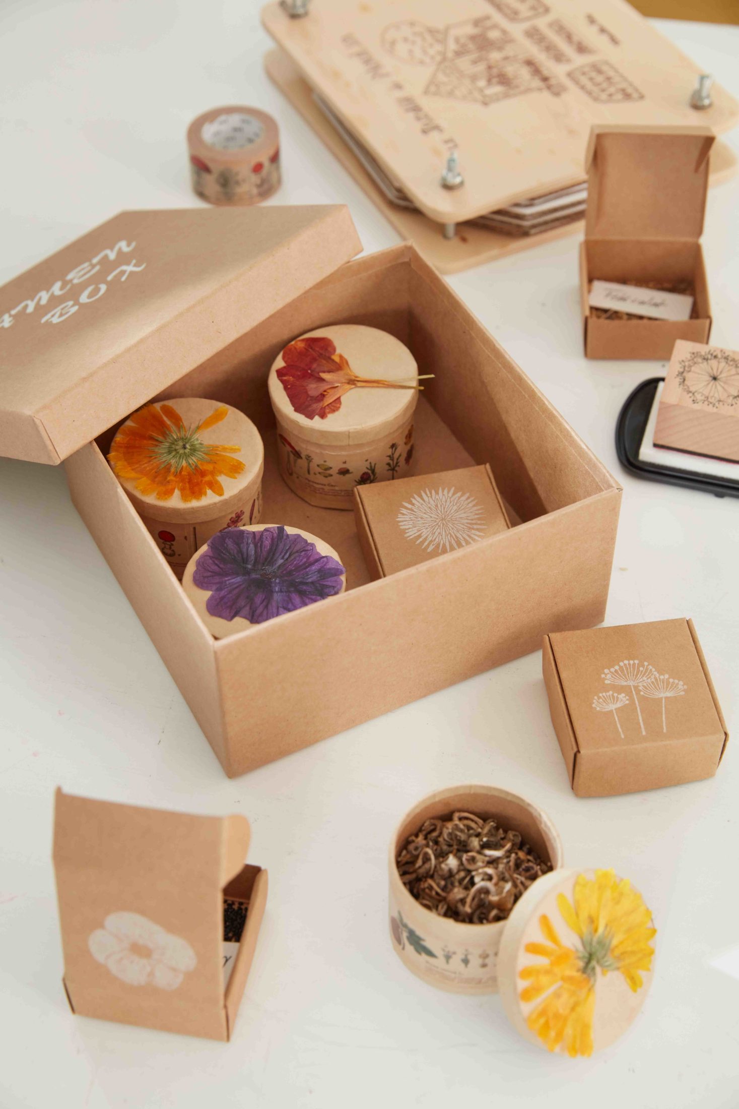Box für Samen ausbewahren