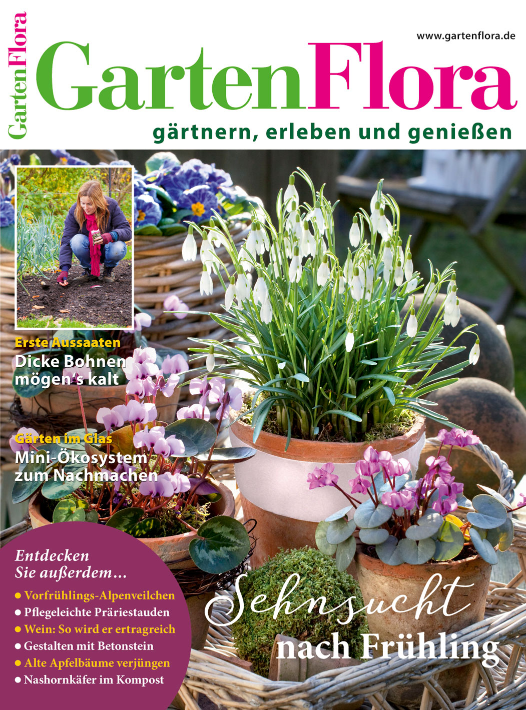 Garten Flora Flaschengarten - Pflanzen im Glas