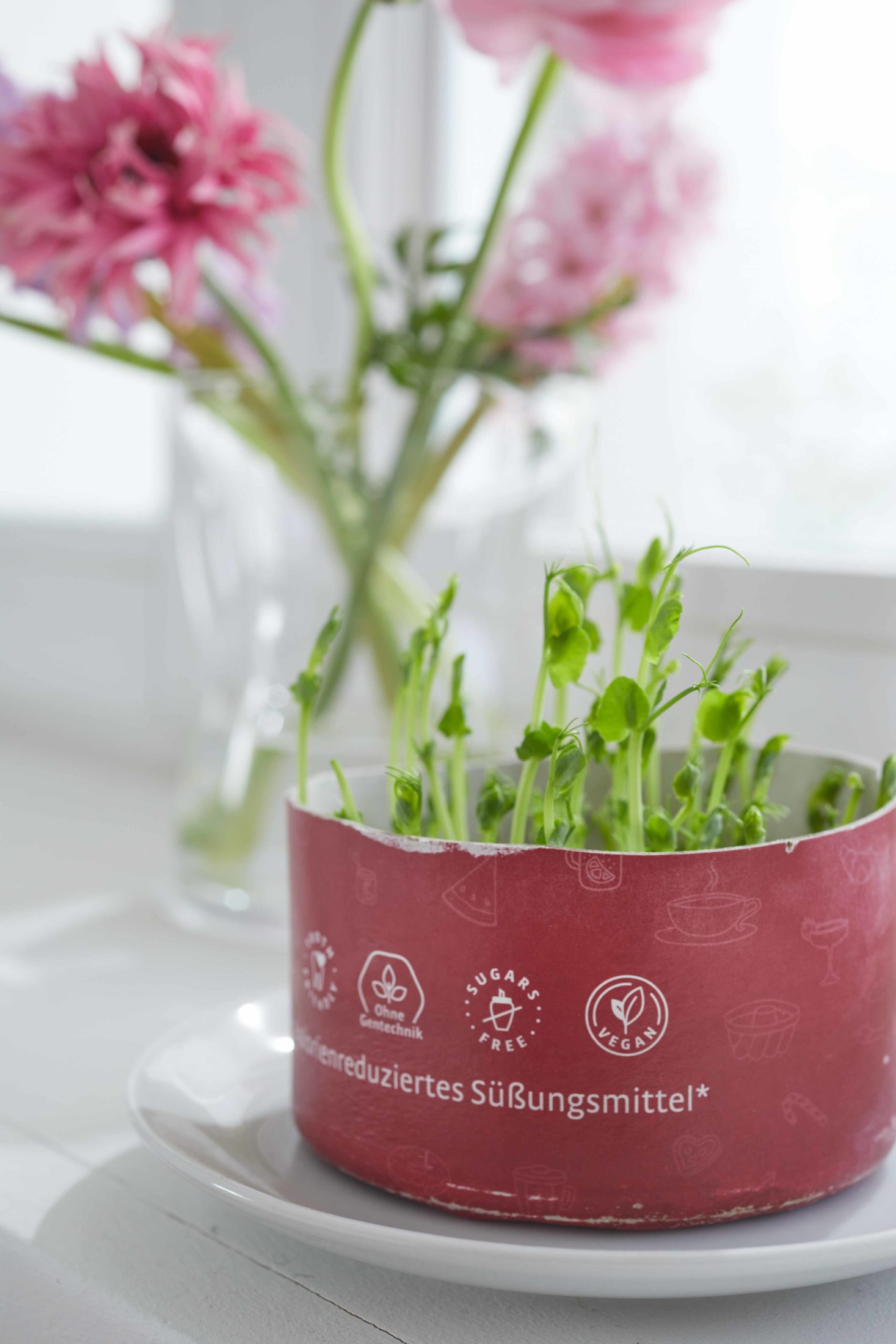DIY Microgreens Erbsen