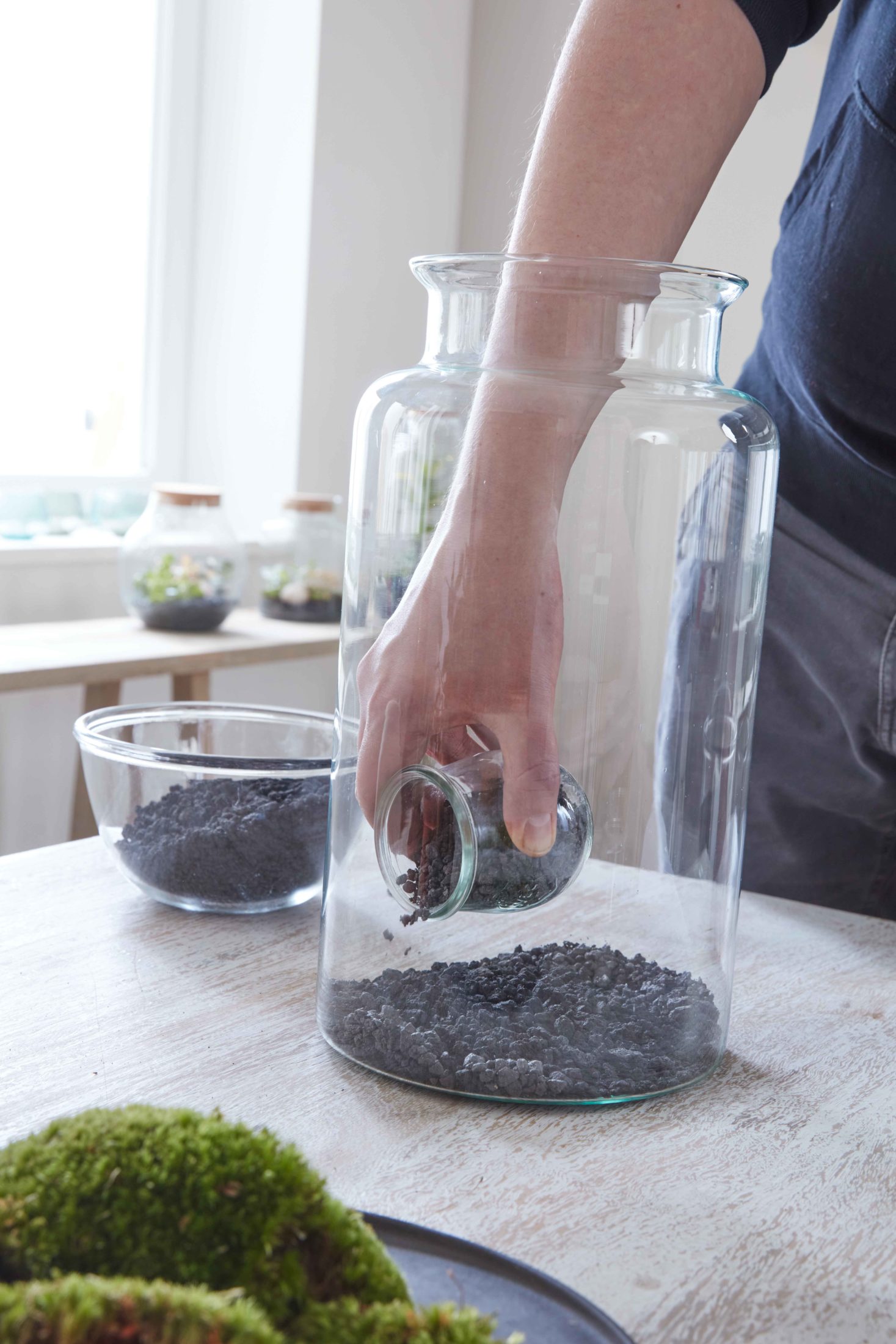 Flaschengarten selber machen - Pflanzen im Glas
