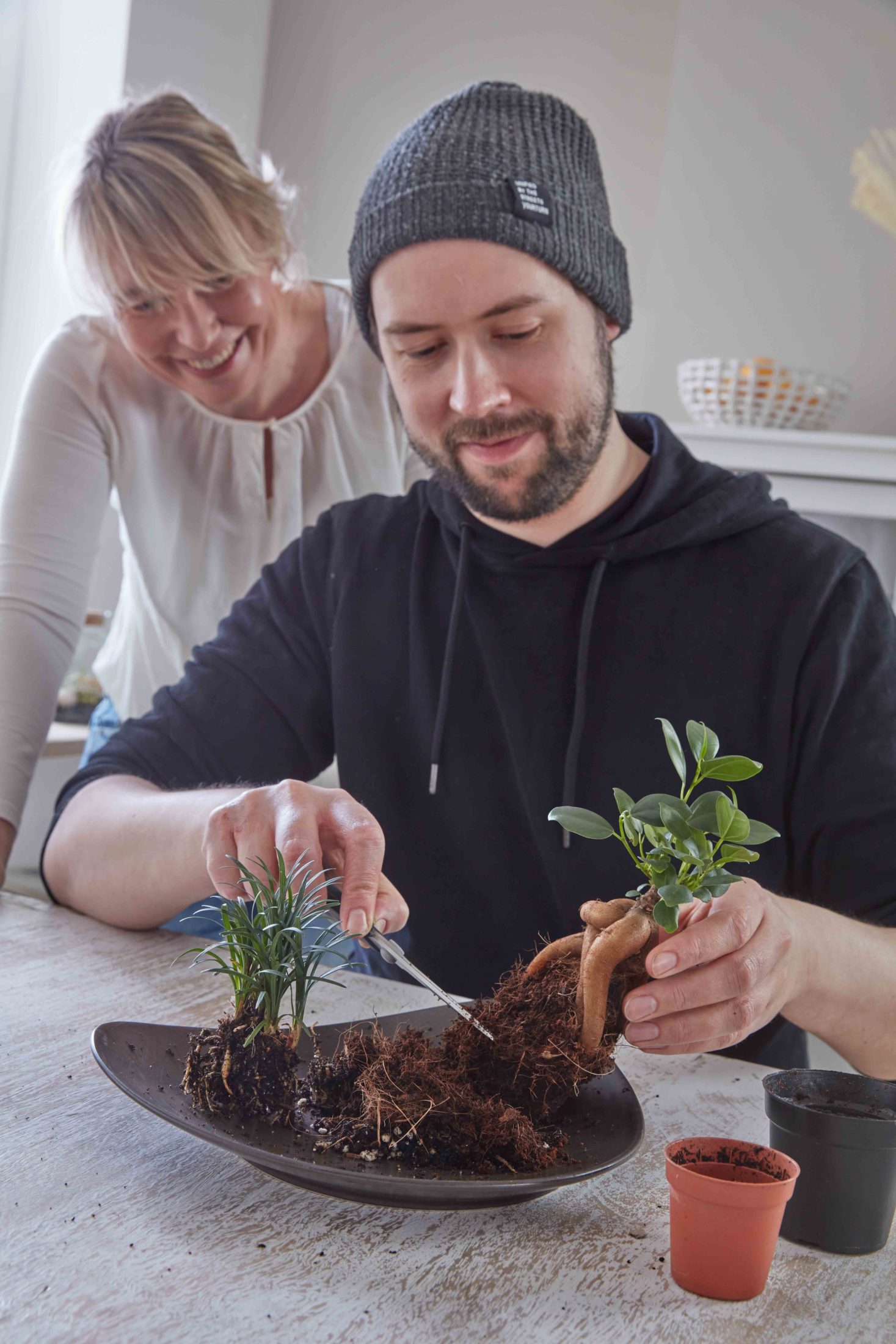 Flaschengarten selber machen - Pflanzen im Glas