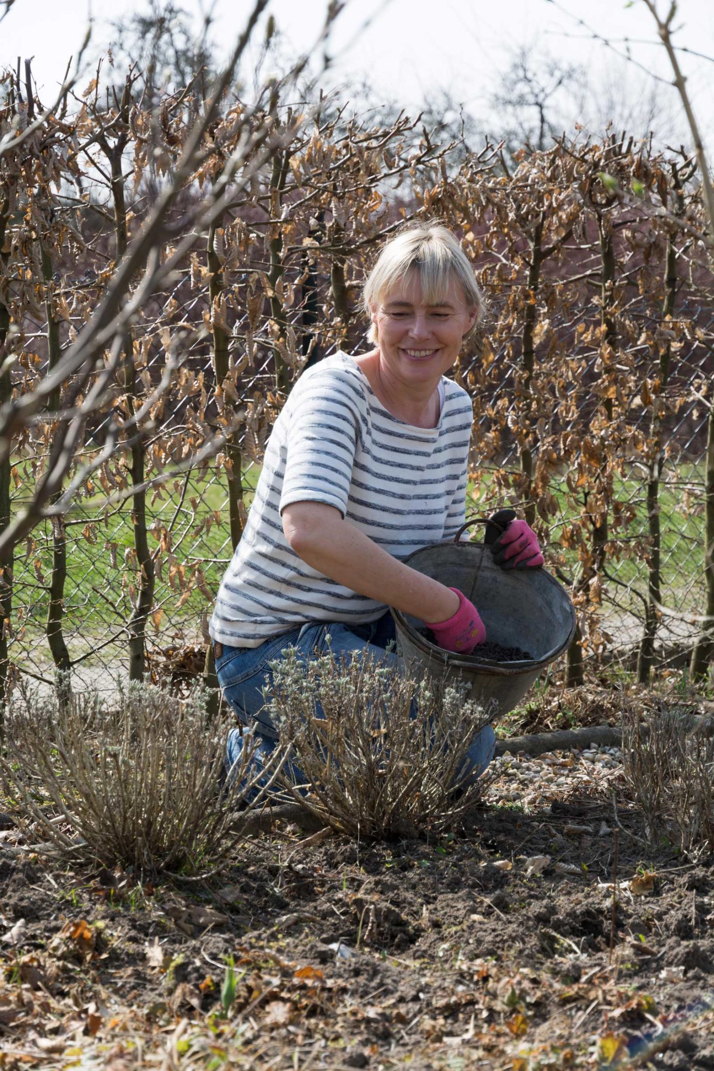 Grunddüngung der Blumenbeete