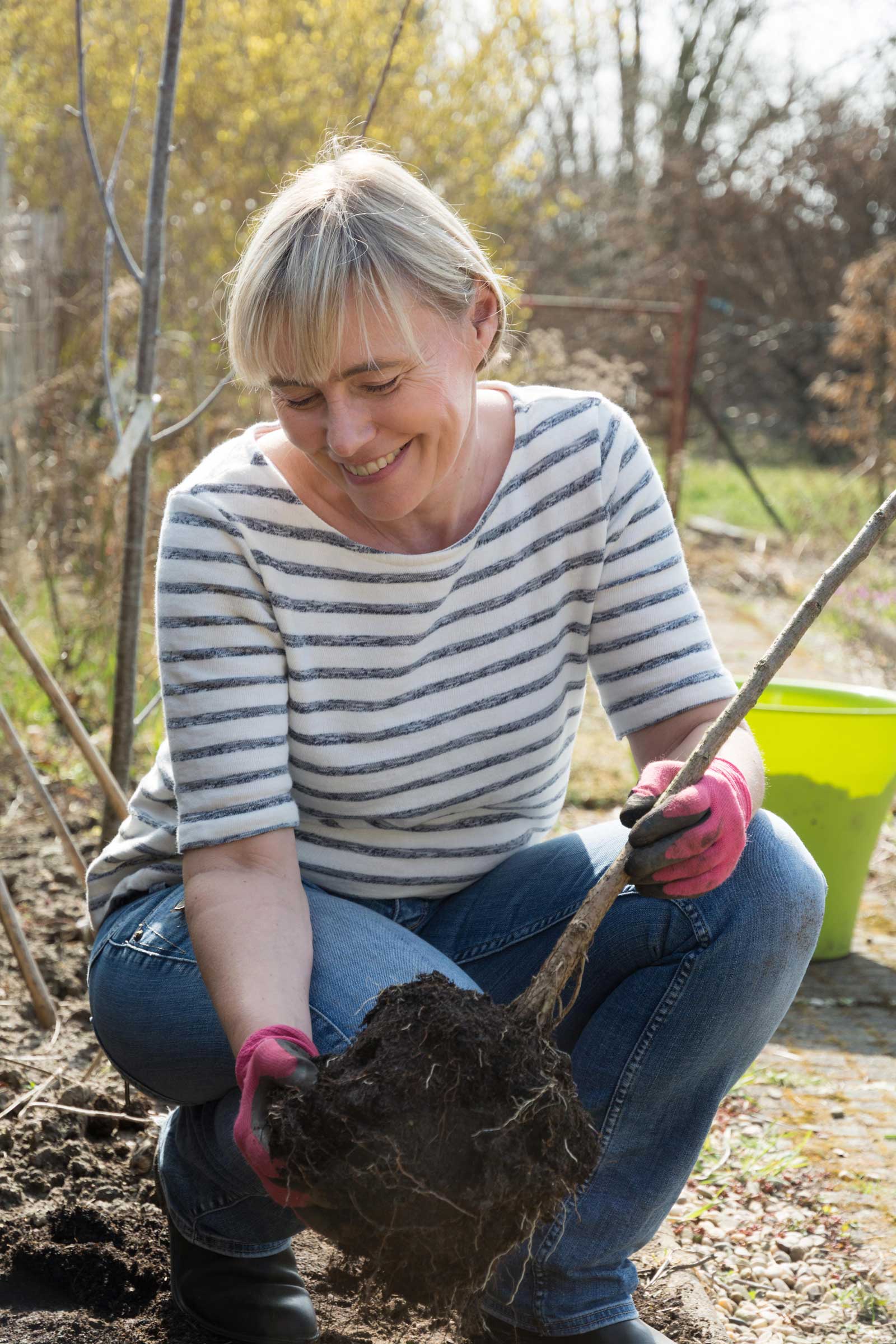 Johannisbeeren Hochstamm ins Beet pflanzen Gern im Garten
