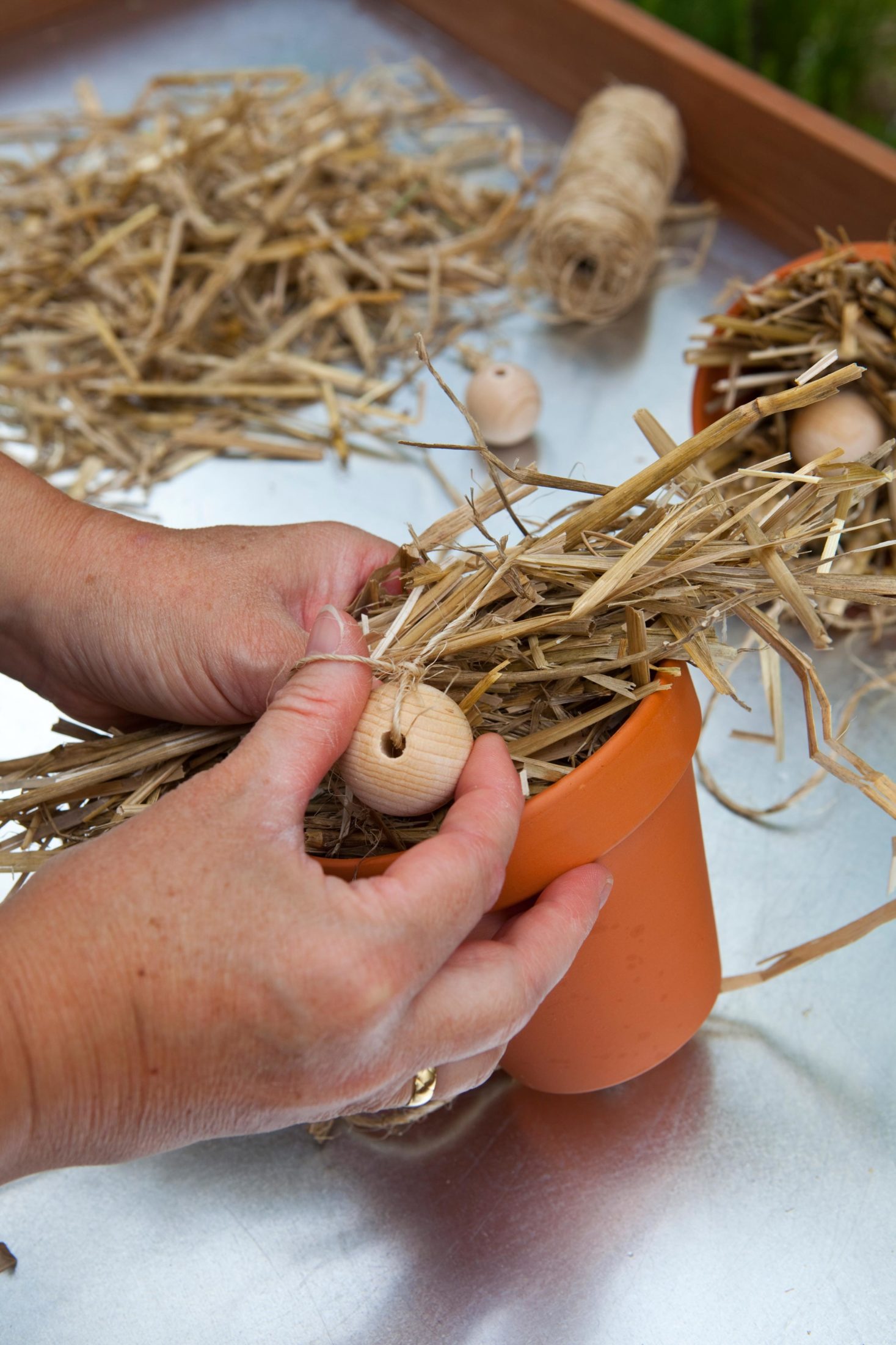 DIY Versteck für den Ohrenkneifer selber basteln