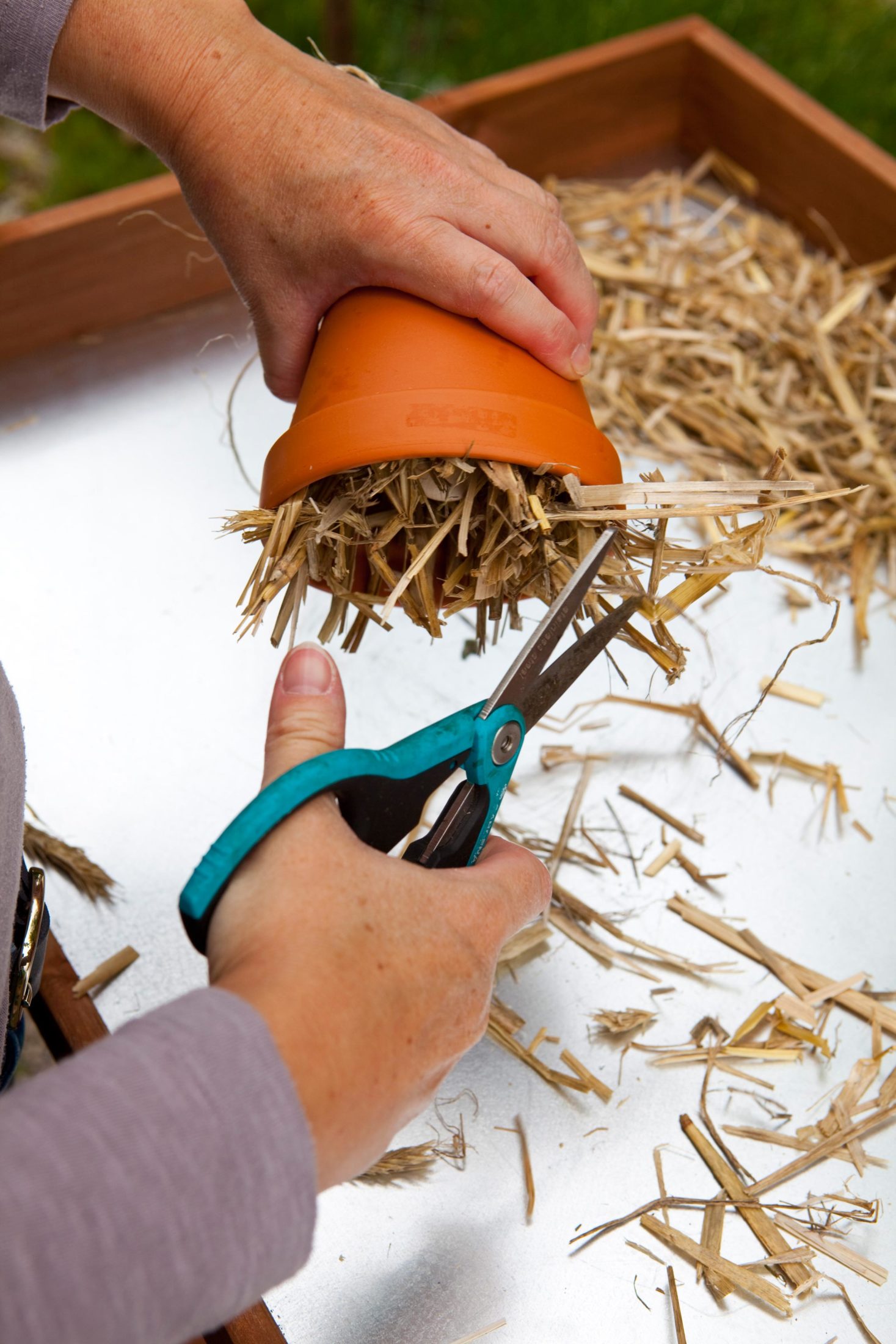 DIY Versteck für den Ohrenkneifer basteln