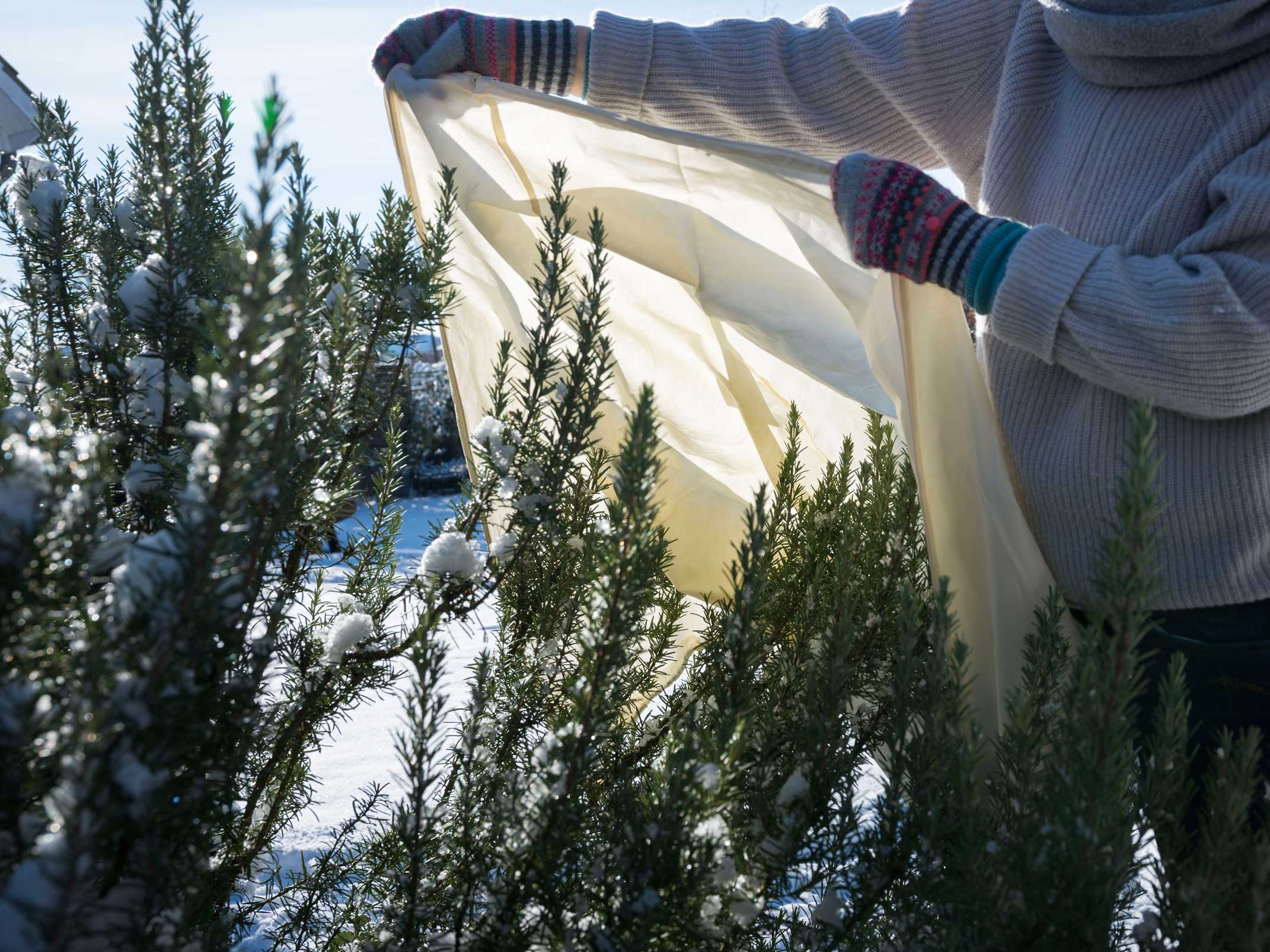 Winterschutz im Garten: Anleitung für alle Pflanzen