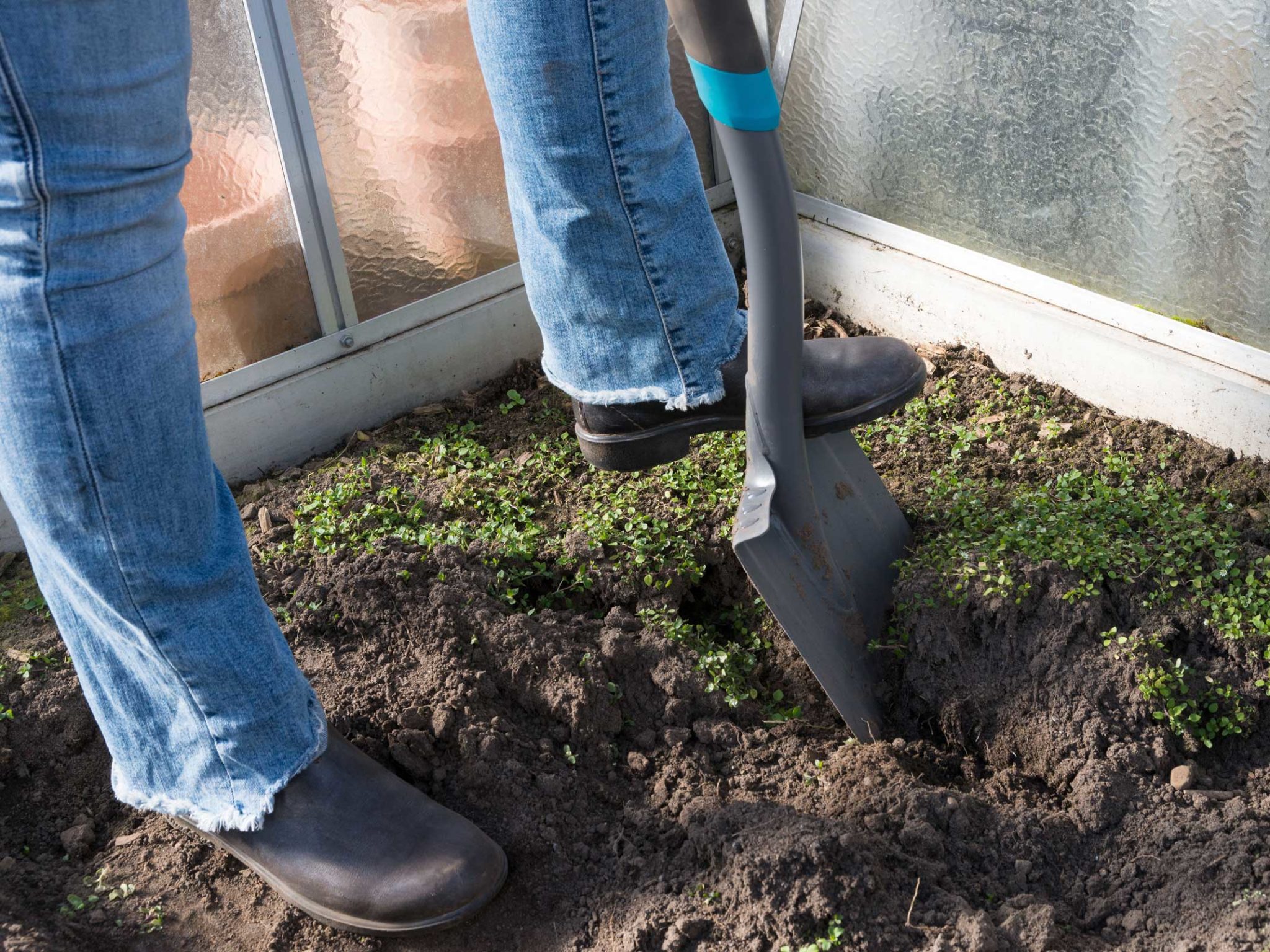 Boden austauschen im Gewächshaus Gern im Garten