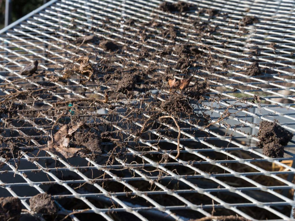 Mistbeet in einem Hochbeet anlegen