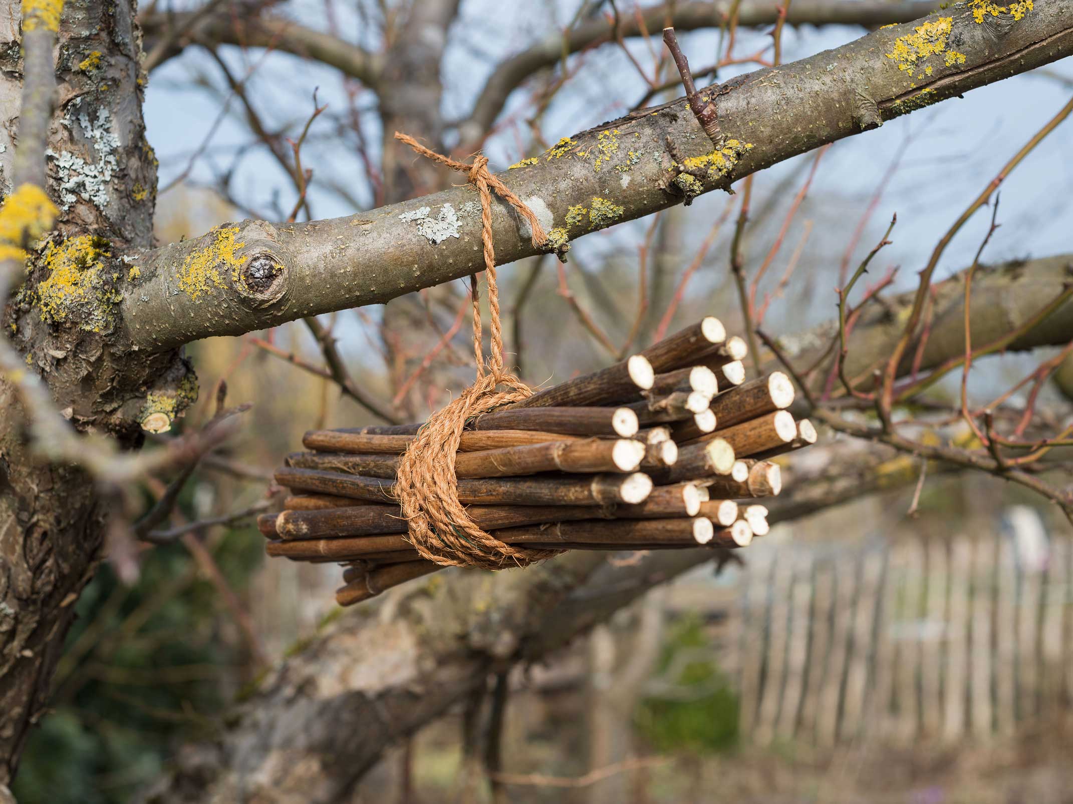 Nachhaltiges Insektenhotel bauen aus Brombeerruten