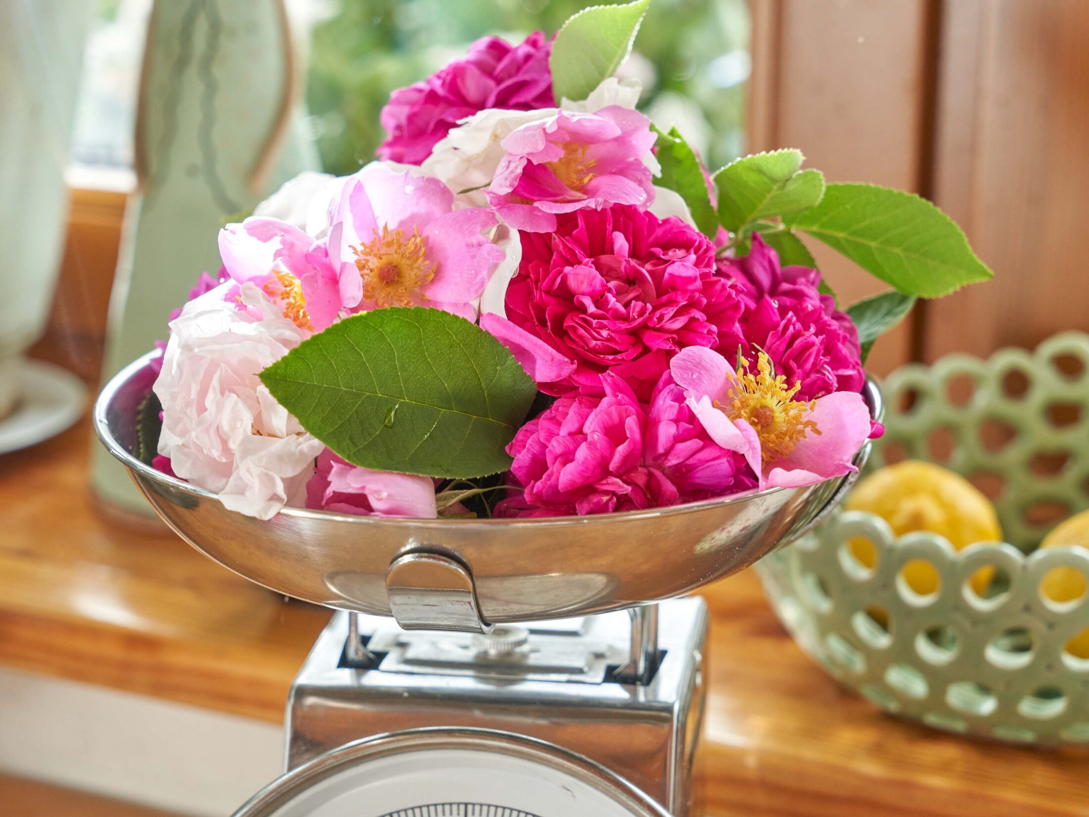 Duftiges Rezept: Selbst gemachtes Rosengelee - Gern im Garten
